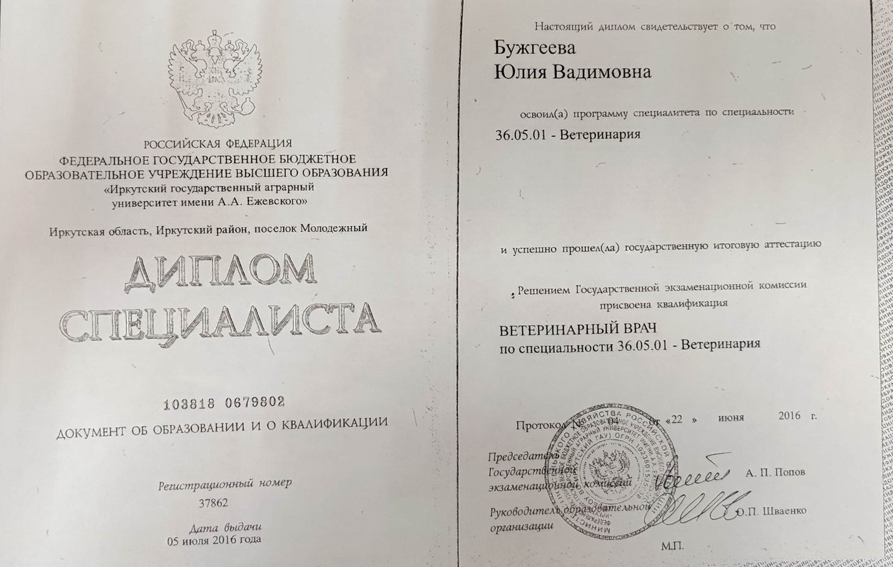 Документ или сертификат