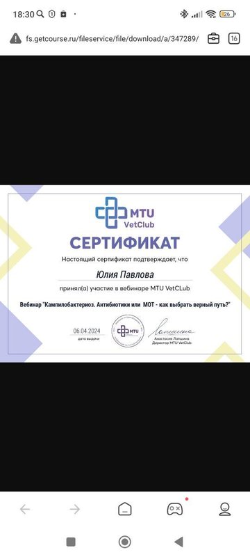Документ или сертификат