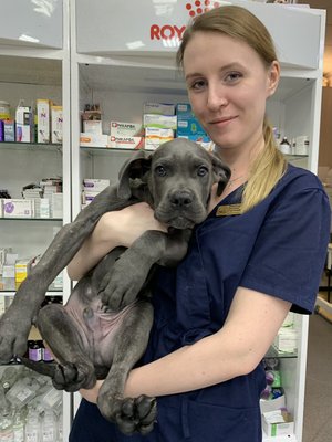 Фото врача Благодарова Евгения Сергеевна