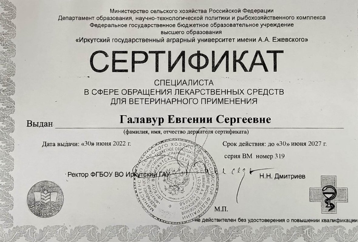 Документ или сертификат