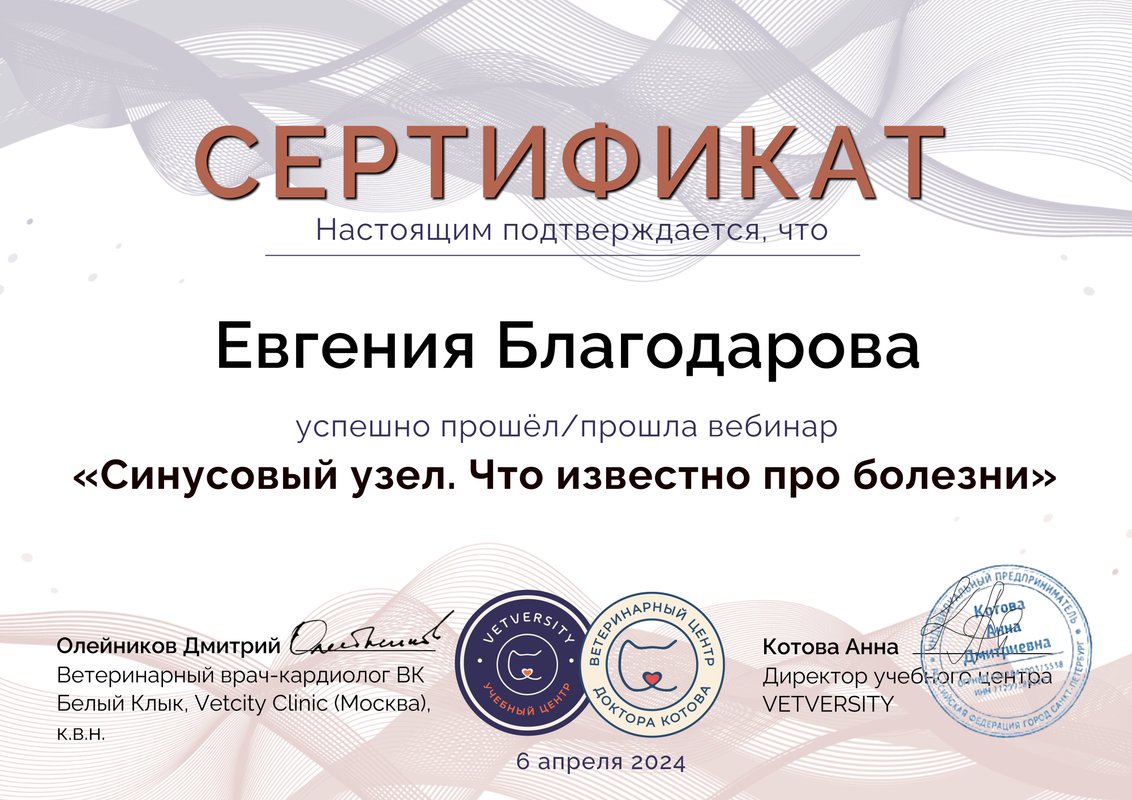 Документ или сертификат