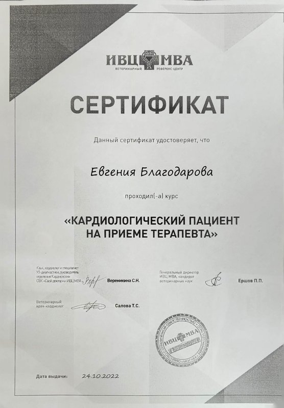 Документ или сертификат