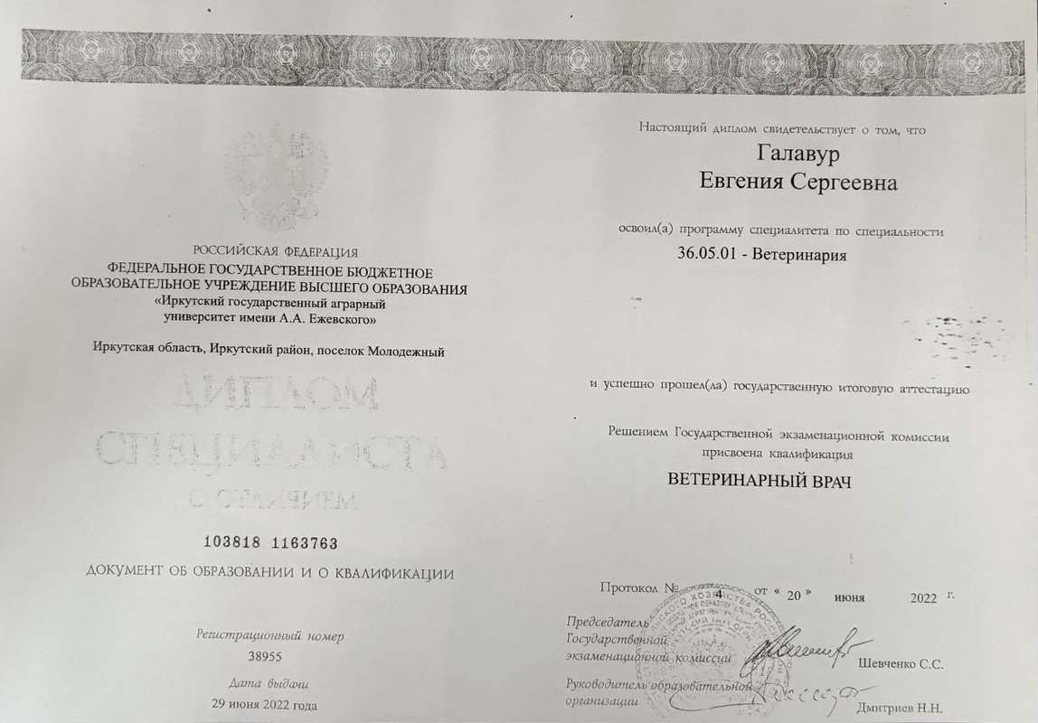 Документ или сертификат