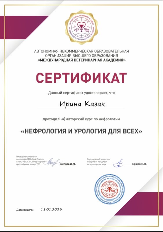 Документ или сертификат