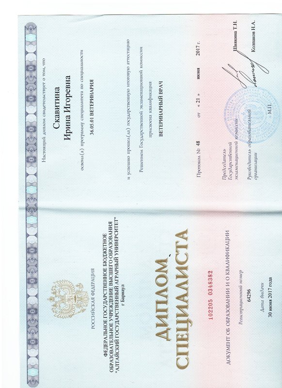 Документ или сертификат