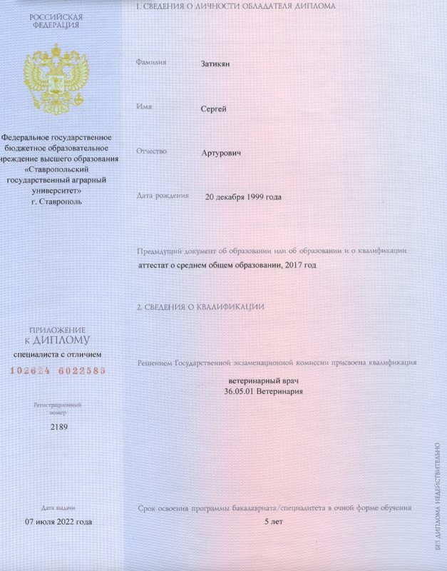 Документ или сертификат
