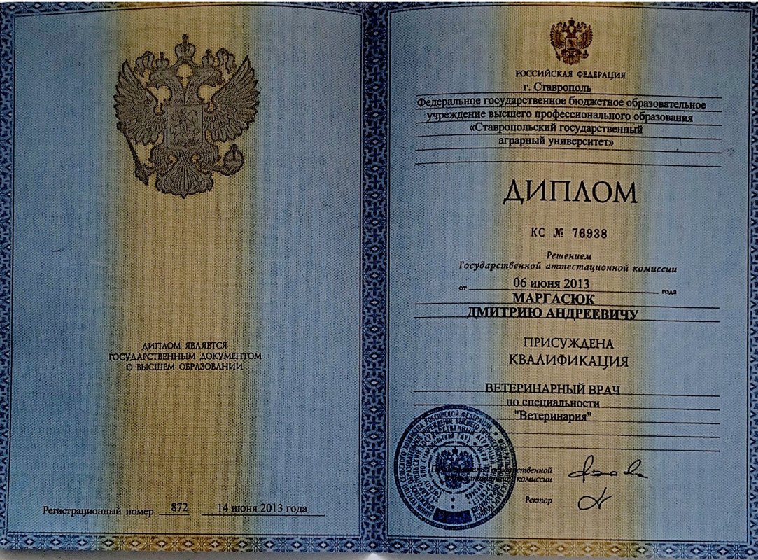 Документ или сертификат