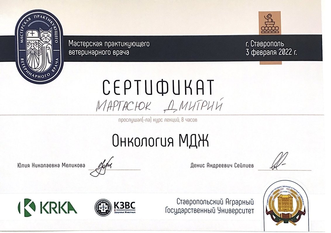 Документ или сертификат