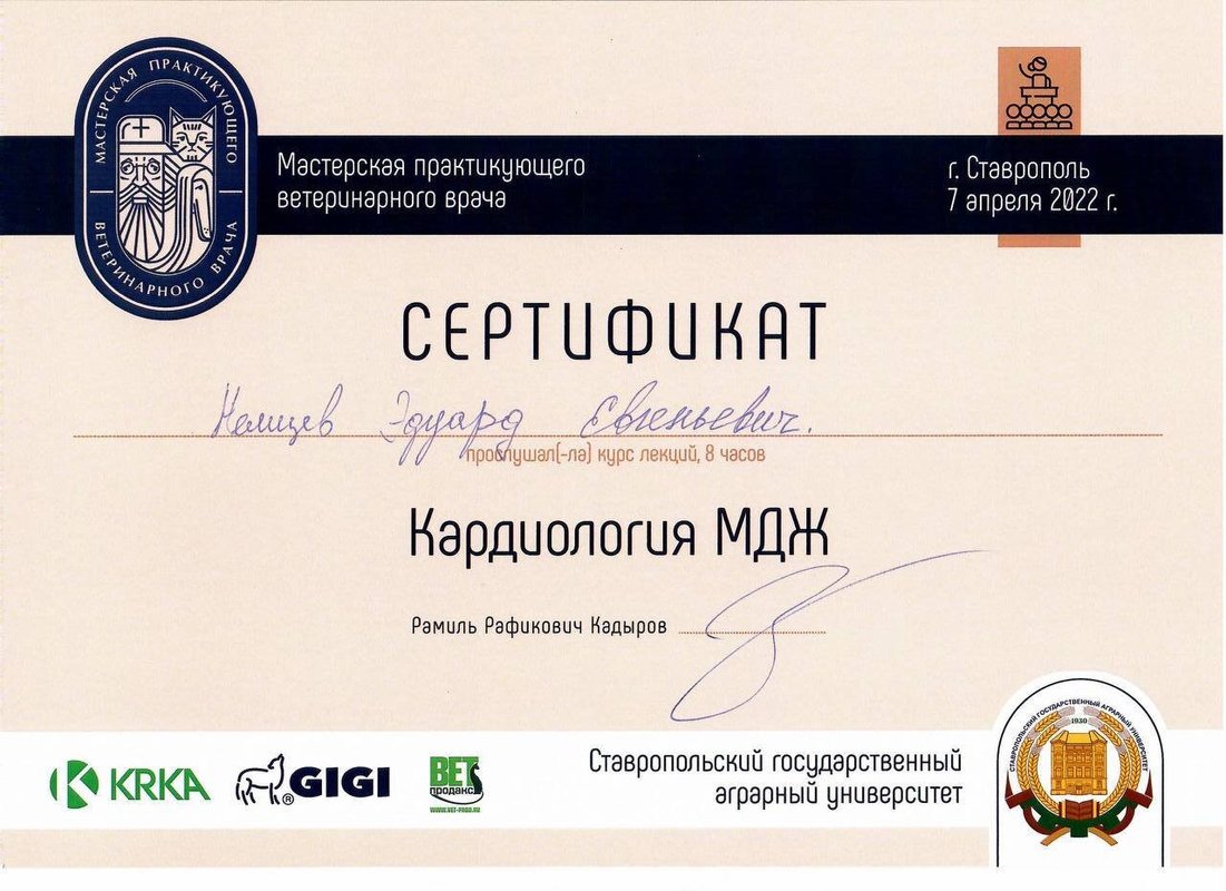 Документ или сертификат