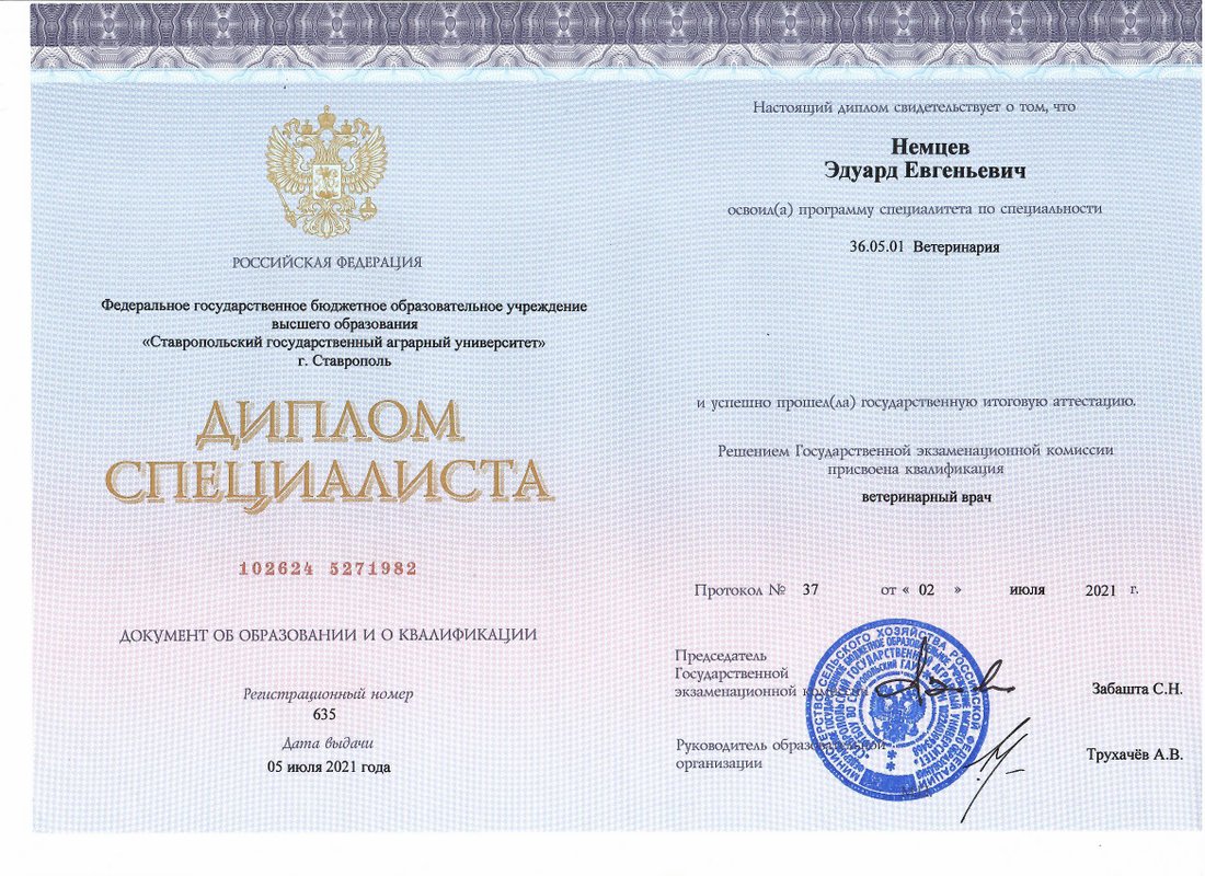 Документ или сертификат