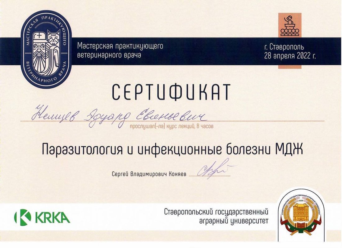 Документ или сертификат