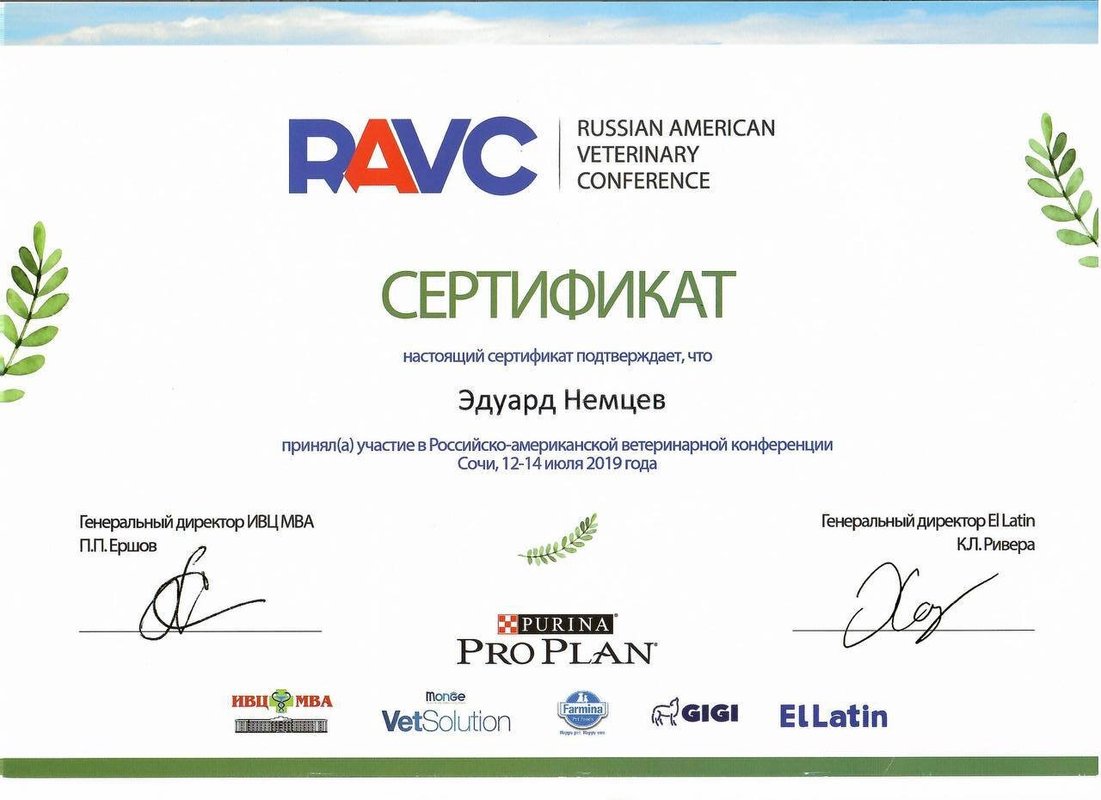 Документ или сертификат