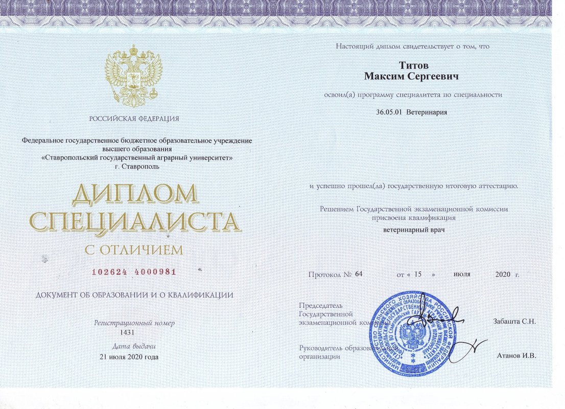 Документ или сертификат