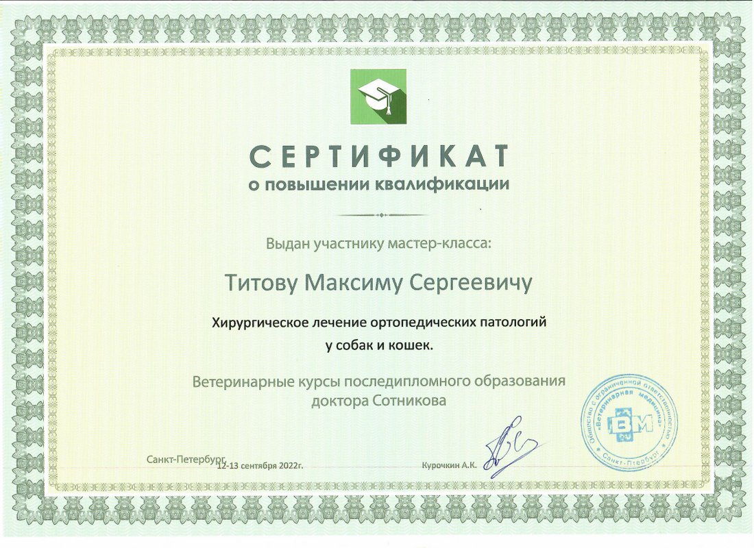 Документ или сертификат