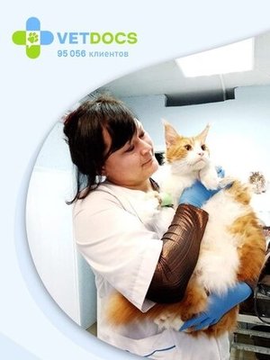 Фото врача Павлова Мария Петровна