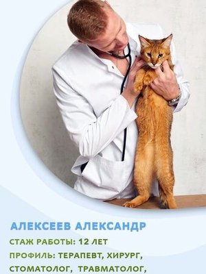 Фото врача Алексеев Александр Игоревич