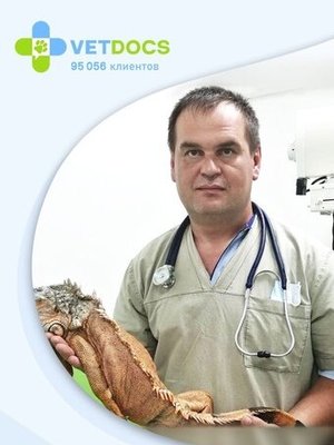 Фото врача Сельников Роман Николаевич