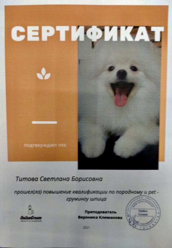 Документ или сертификат