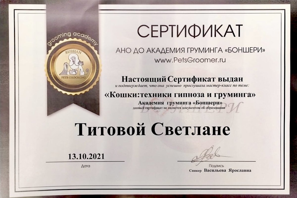 Документ или сертификат