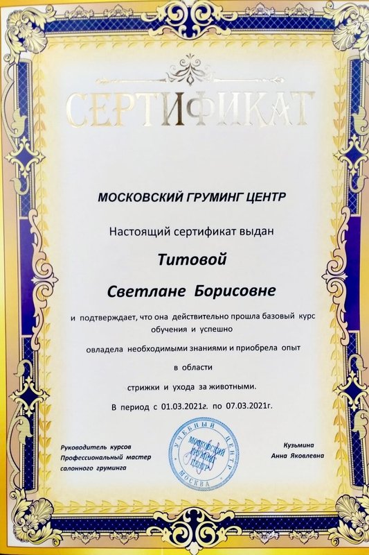 Документ или сертификат