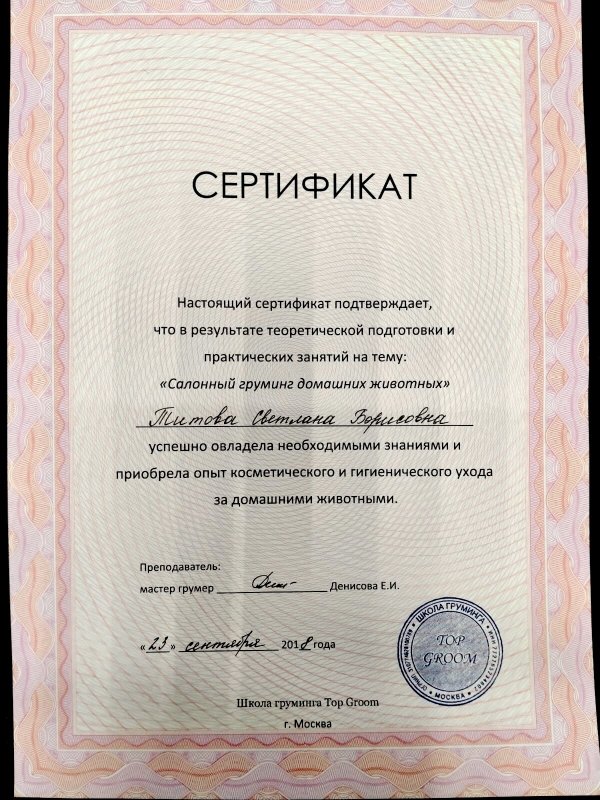 Документ или сертификат