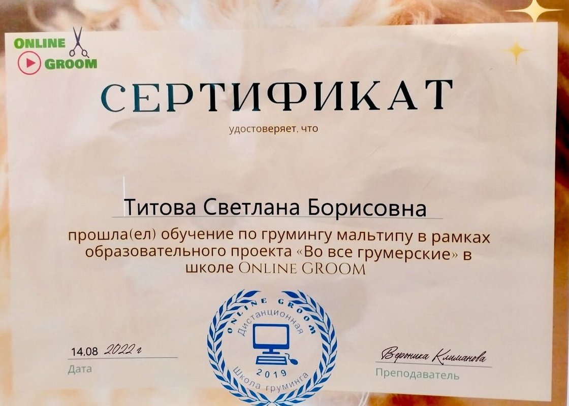 Документ или сертификат