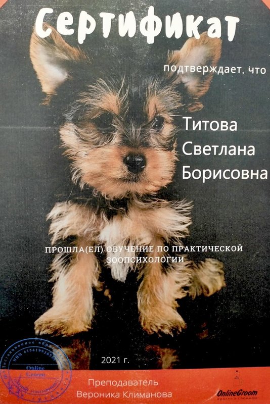 Документ или сертификат