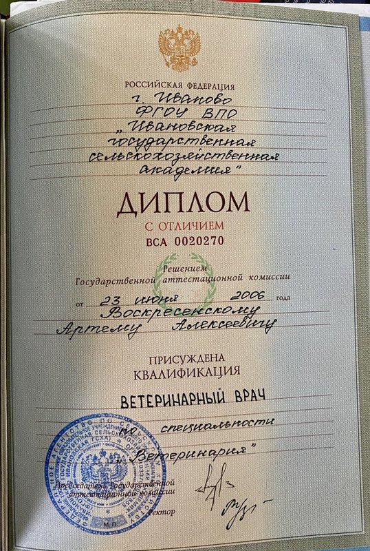 Документ или сертификат