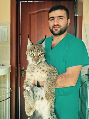 Фото врача Бадалян Юрий Иванович