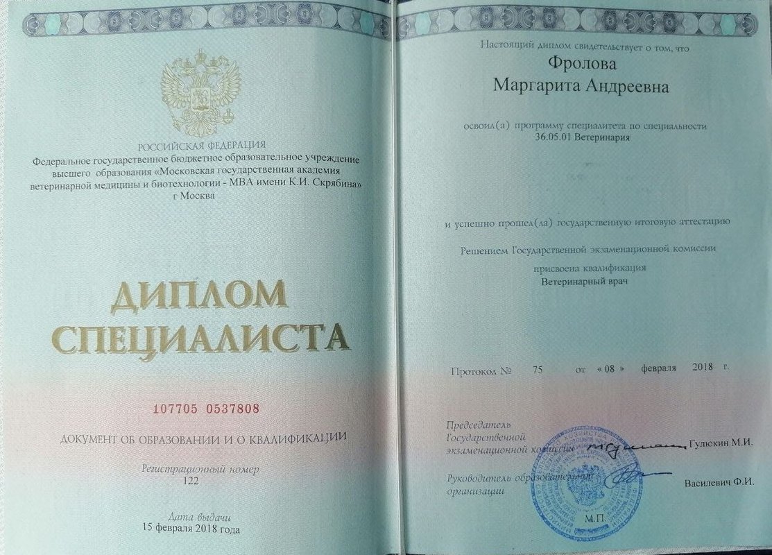 Документ или сертификат