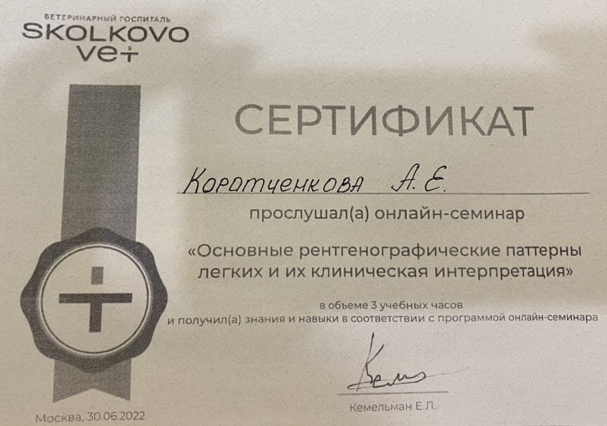 Документ или сертификат