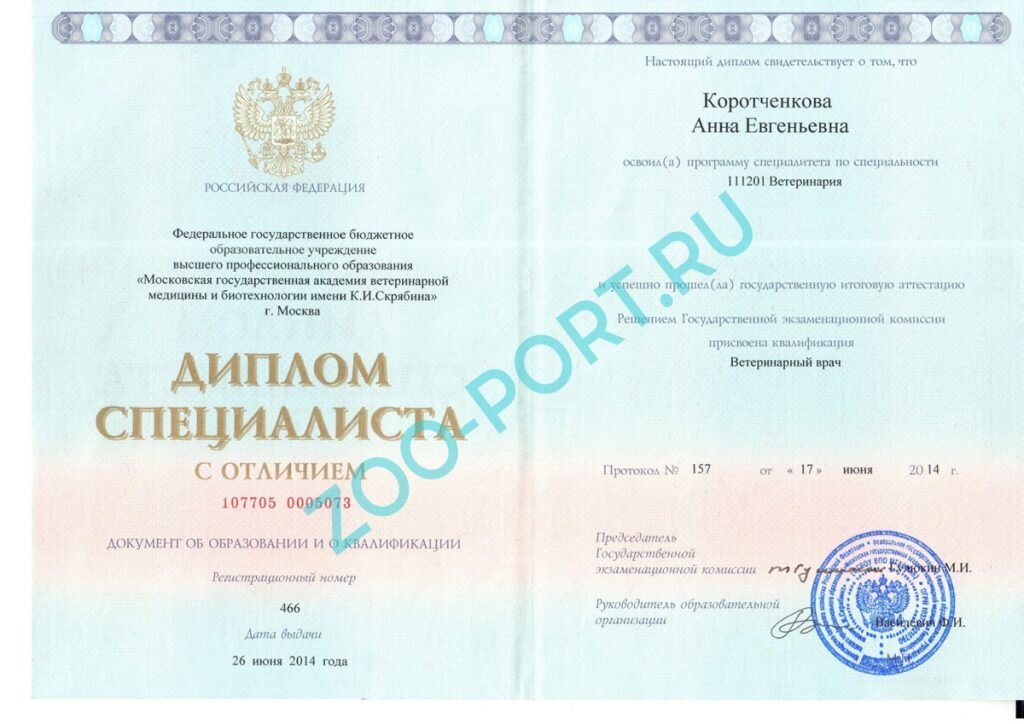 Документ или сертификат