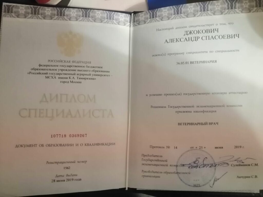 Документ или сертификат