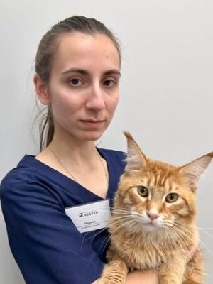Фото врача Захаркин Марина Игоревна