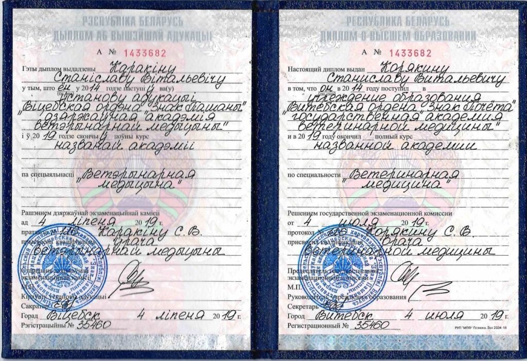 Документ или сертификат