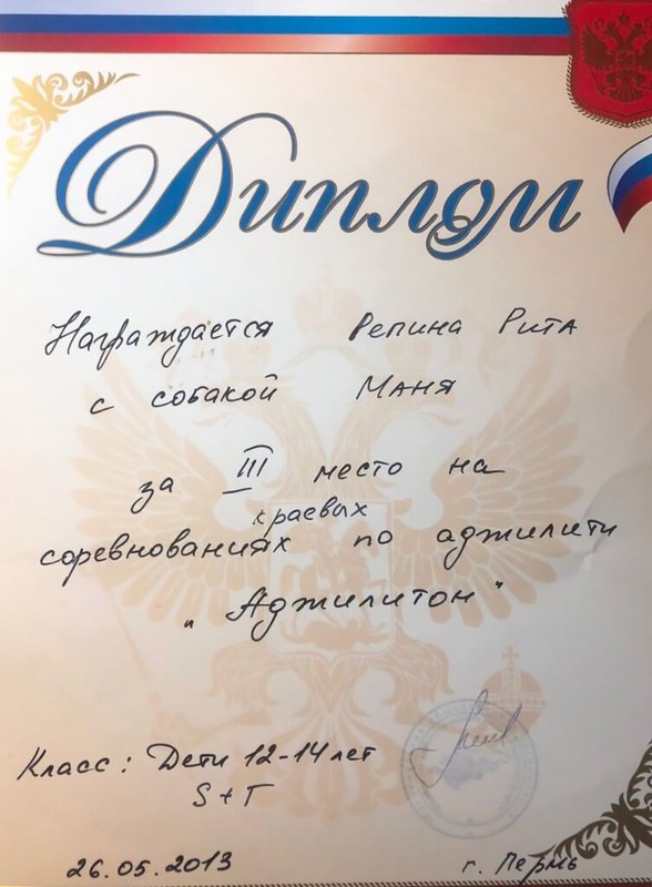Документ или сертификат