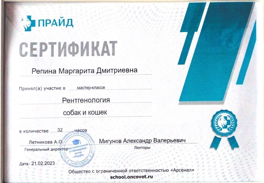 Документ или сертификат