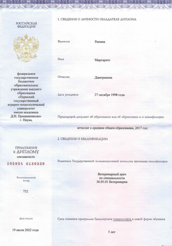 Документ или сертификат