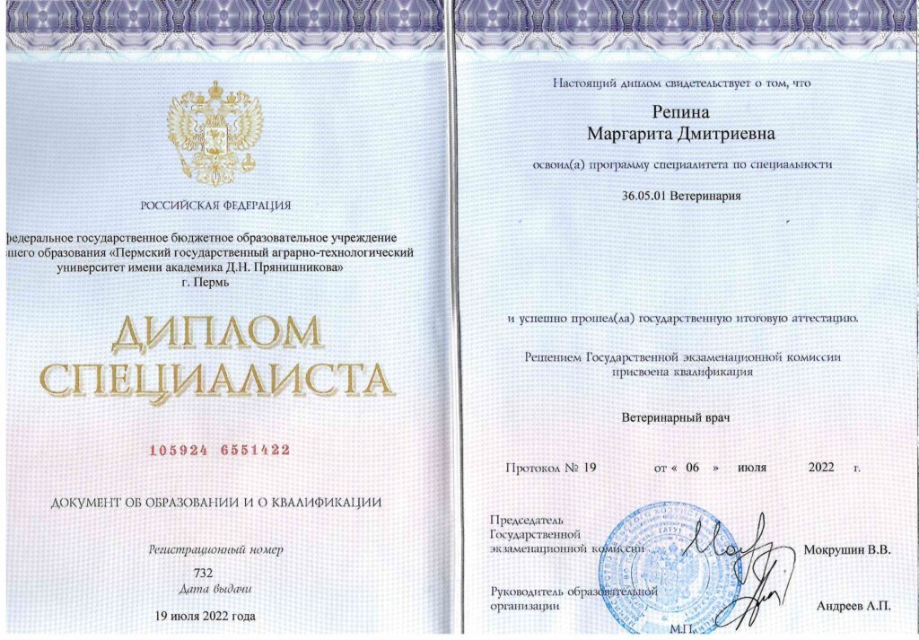 Документ или сертификат