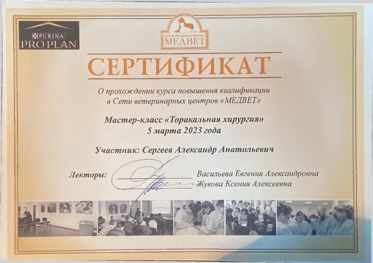 Документ или сертификат