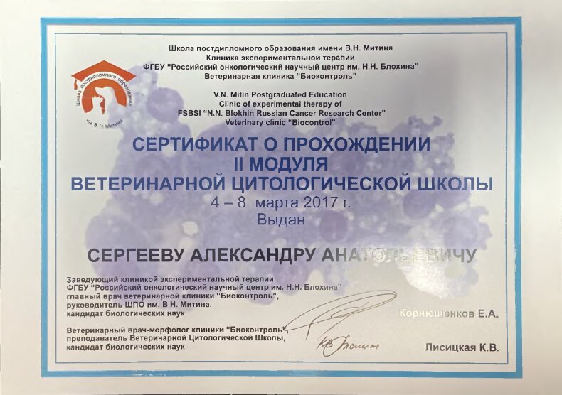 Документ или сертификат