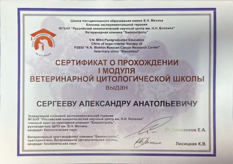 Документ или сертификат