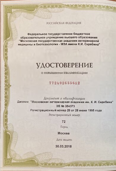 Документ или сертификат