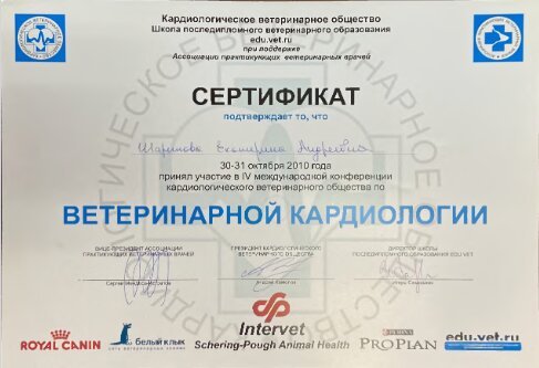 Документ или сертификат