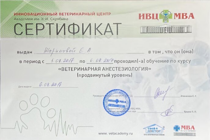 Документ или сертификат