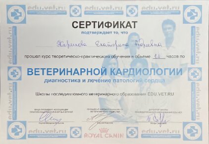 Документ или сертификат