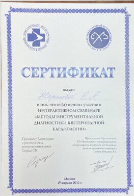 Документ или сертификат