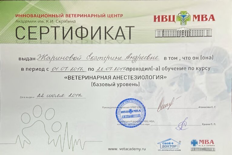 Документ или сертификат