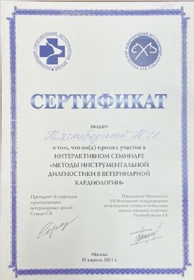 Документ или сертификат