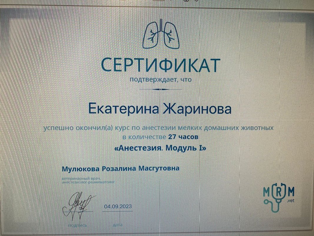 Документ или сертификат